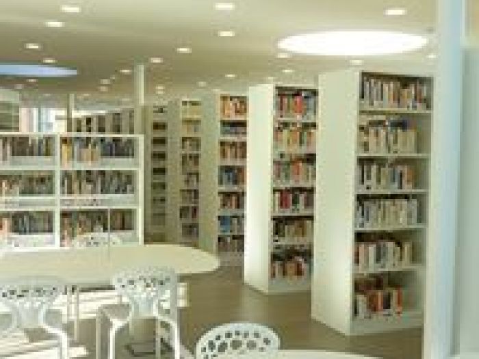 Archisio - Artigiana Legno - Progetto Libreria