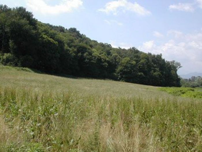 Archisio - Studio Di Agronomia E Architettura Del Paesaggio - Progetto Sistemazione paesaggistica