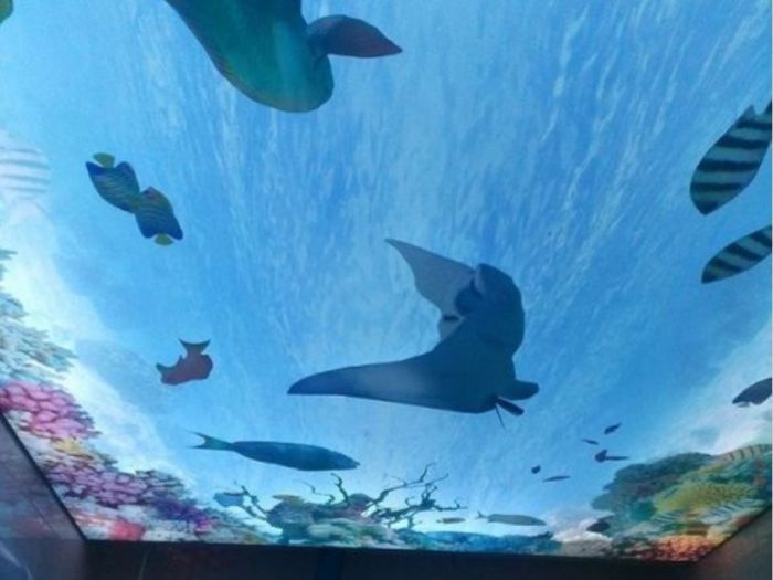 Archisio - Tutto Tetto Di Shein Vitaliy - Progetto Pavimentazioni e pareti in 3d