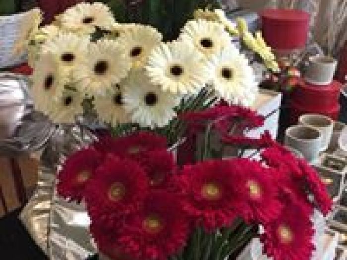 Archisio - Prafiori - Progetto Fiori