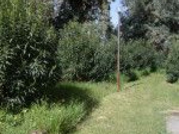 Archisio - Mageris srl - Progetto Pulizie giardini via casilina