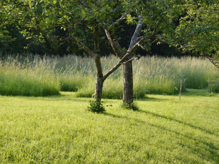 Archisio - Luca Docci - Progetto Giardino naturale