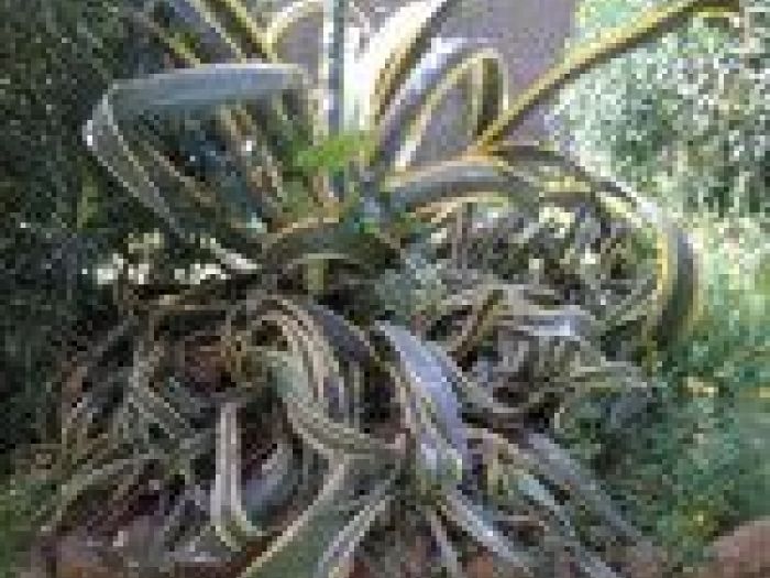 Archisio - Mageris srl - Progetto Pulizie giardini via casilina