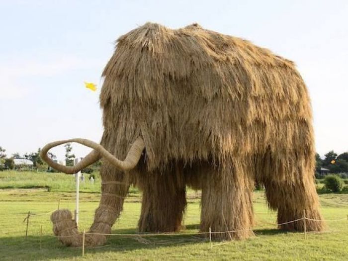 Archisio - Archipaglia Invenzioni Darchitettura - Progetto Progetti