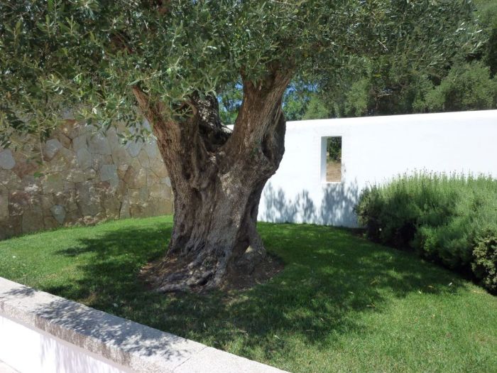 Archisio - Impresa Edile Marongiu - Progetto Esterni