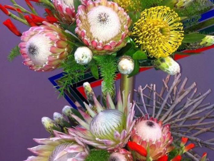 Archisio - Carlo Maria Maggia - Progetto Giardini