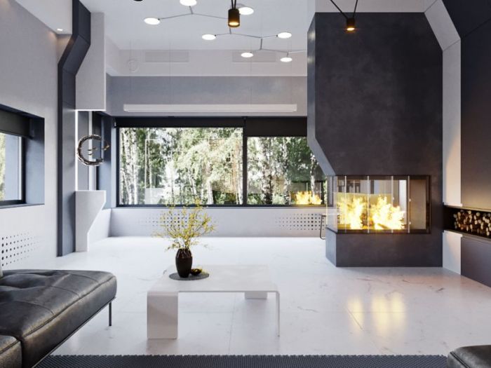 Archisio - Denis Igorevich Yurov - Progetto Casa di campagna in stile prometeo