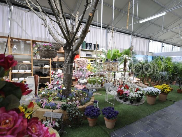 Archisio - Piante Macri - Progetto Il garden