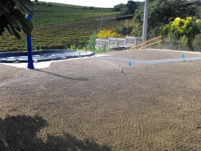 Archisio - Claudio Raiteri Verde Giardino - Progetto Irrigazione rigenerazione pratorigenerazione pratotree climbingisolamento solai