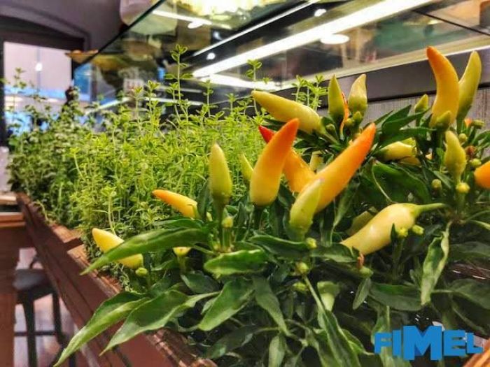 Archisio - Mariangela Meliante - Progetto Ambarab caf