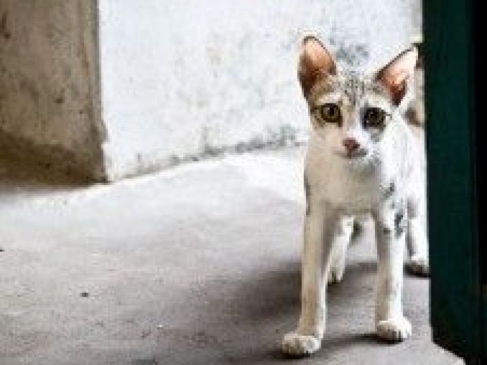 Archisio - Itacafreelance - Progetto Foto in viaggio