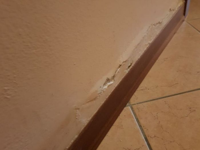 Archisio - Stil Pitture Di Gorgoglione Salvatore - Progetto Rilevazione di umidit su pareti