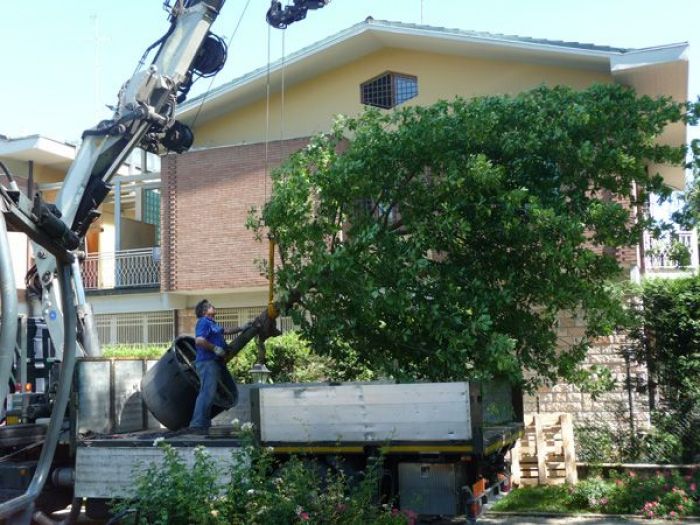 Archisio - Societ Agricola Colombini Ulisse srl - Progetto Servizi speciali