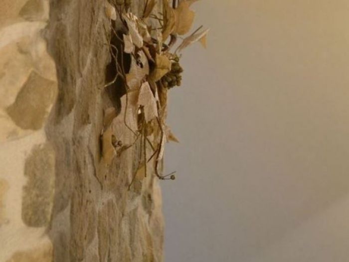 Archisio - Tommaso Barill - Progetto Casa unifamiliare