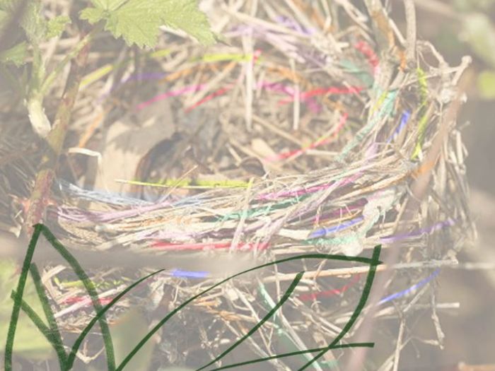 Archisio - Tindara Crisafulli - Progetto Versi il nido