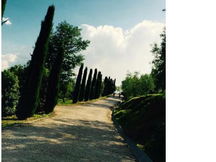 Archisio - Studio Catolfi - Progetto Il borghetto e agriturismo poggio tondo