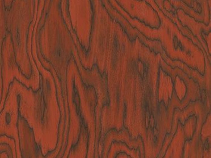 Archisio - Alpi spa - Progetto Collezioni allalpi