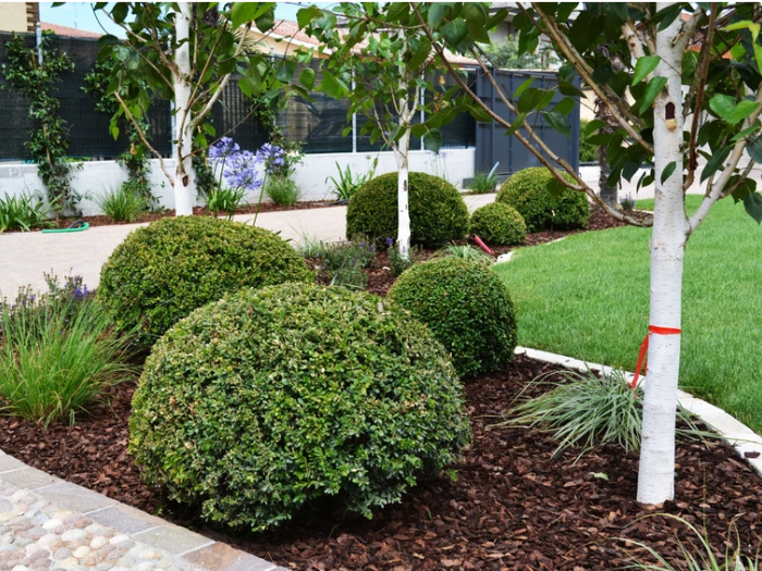 Archisio - Lugo Architettura Del Paesaggio - Progetto Realizzazione-ville e case private