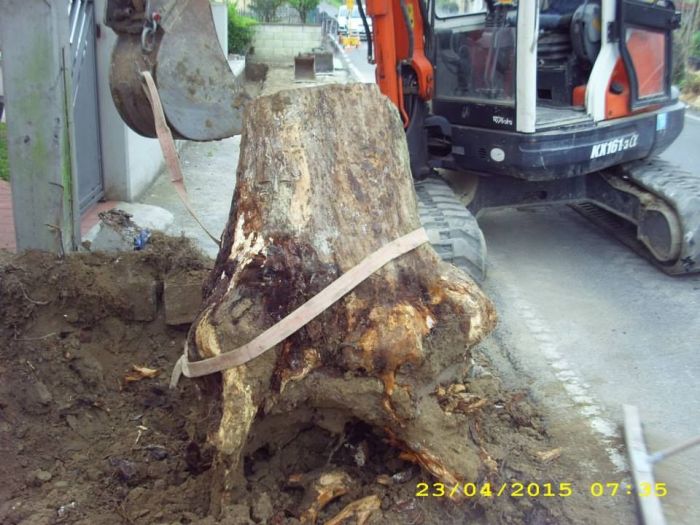 Archisio - Pucci Edilizia E Strade - Progetto Opere di sistemazione esterna