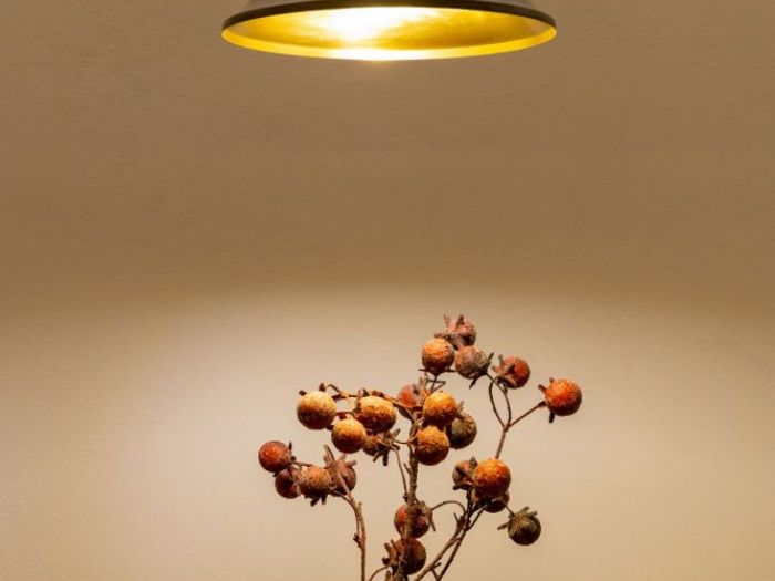 Archisio - Yuliya Danilchenko - Progetto Casa anabella