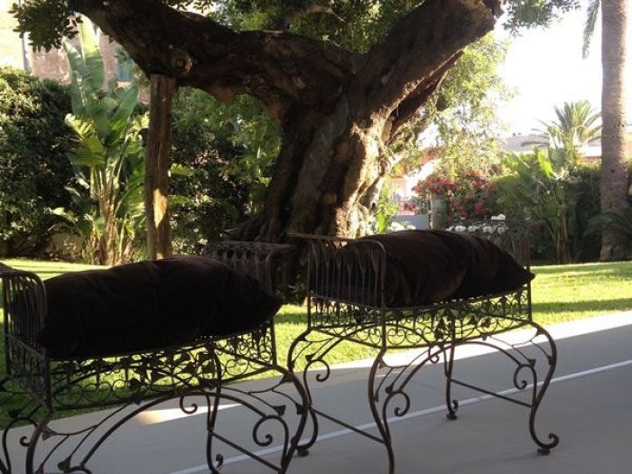 Archisio - Carlo Maria Maggia - Progetto Giardini