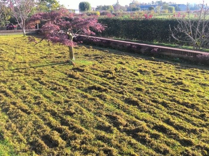 Archisio - Claudio Raiteri Verde Giardino - Progetto Irrigazione rigenerazione pratorigenerazione pratotree climbingisolamento solai