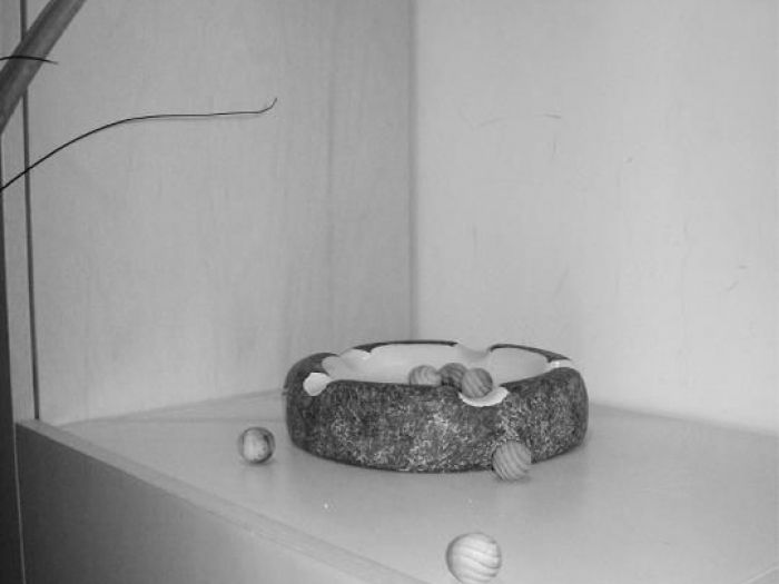 Archisio - Linea Contemporanea Home - Progetto Progetto di parete attrezzata per abitazione privata