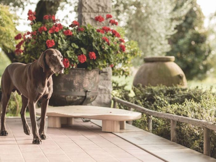 Archisio - Brandodesign - Progetto Il lettino dune