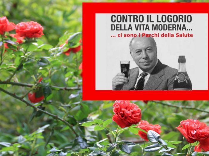 Archisio - Luca Righetto - Progetto Pensieri e considerazioni su piante e giardini Link agli articoli in httpsprogettazione-spazi-verdibusinesssiteutmsourcegmbutmmediumreferral