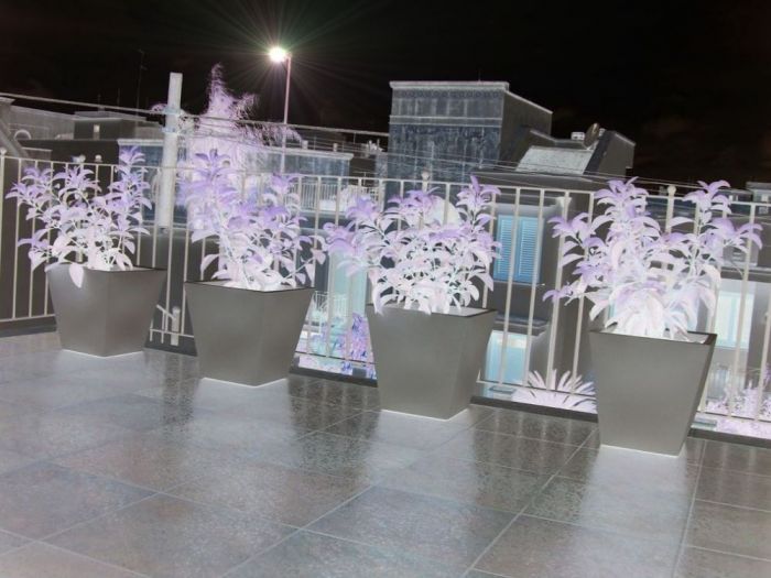 Archisio - Antonio Pagliara - Progetto Progetto 1