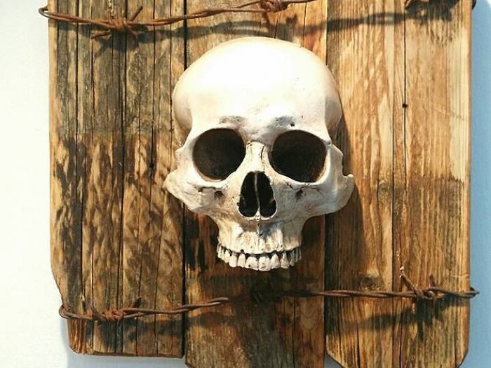 Archisio - Edodesign - Progetto Skull kustom tattoo