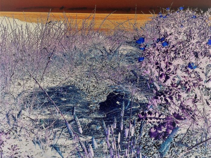 Archisio - Gianluca Vetrugno Meltem Kosan the Art Of The Negative - Artisti - Progetto Galleria 2 paesaggi