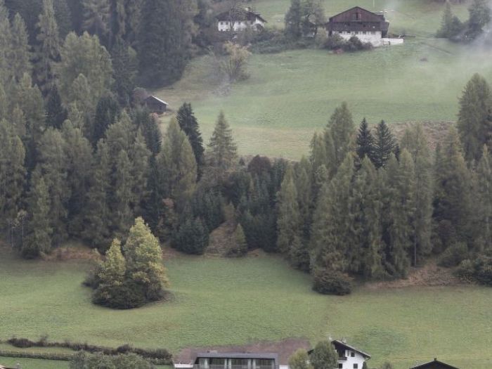 Archisio - Plasma Studio - Progetto Villa drei birken