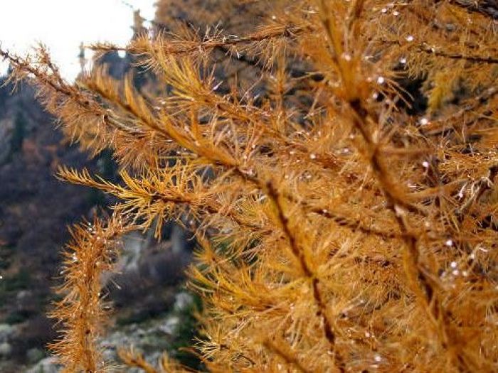 Archisio - Amp Studio Architettura Progettazione Ambientale - Progetto Progettazione ambientale