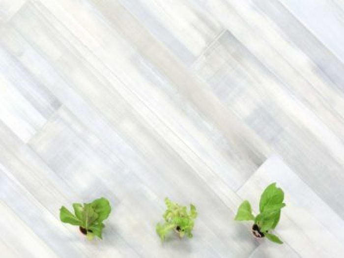 Archisio - Senio Alta Ceramica Faentina - Progetto SENIO ALTA CERAMICA FAENTINA