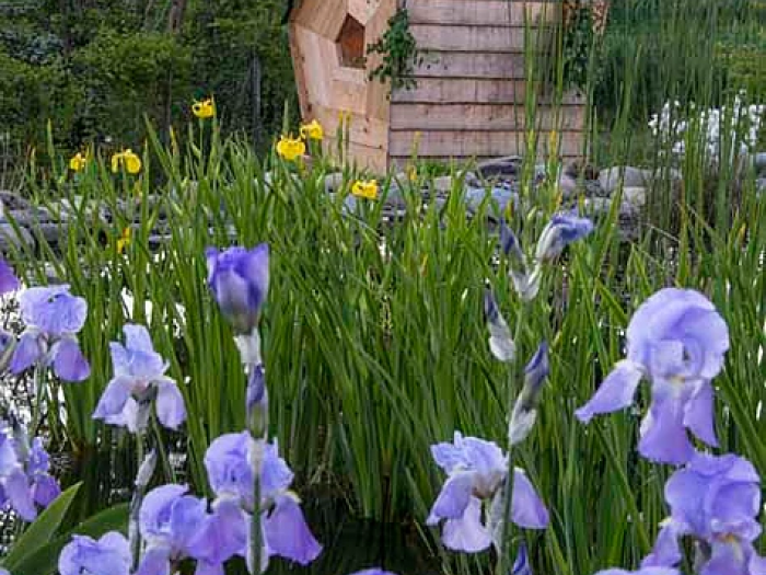 Archisio - Suingiardino Snc - Progetto Biopiscina