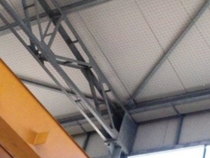 Archisio - Pulisistem - Progetto Protezione dagli uccelli