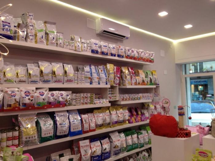 Archisio - Casesa Tiziano - Progetto Negozio farfulla animal chic