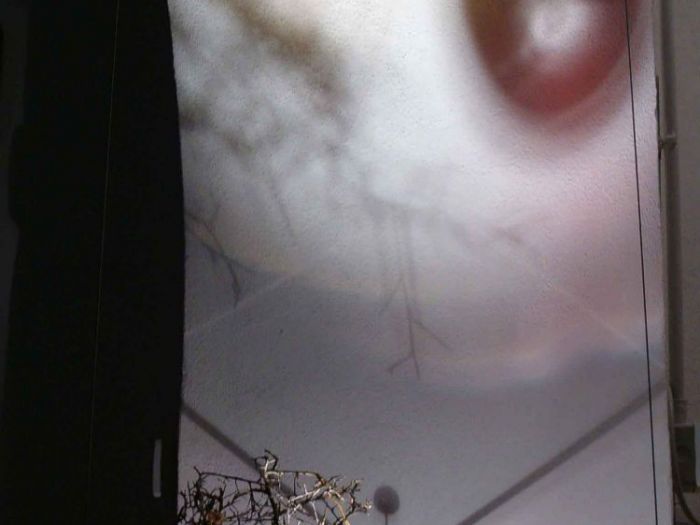 Archisio - Lab Giobbi - Progetto Design