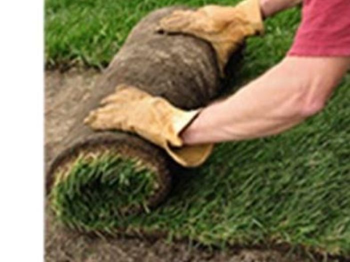 Archisio - Giardiniere Di Verdecchia Danilo - Progetto Realizzazione prati a rotoli