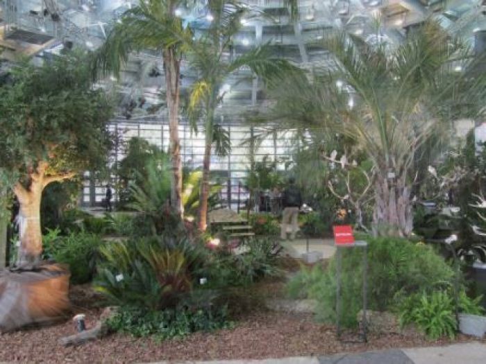 Archisio - Rattiflora - Progetto Fiere e mostre