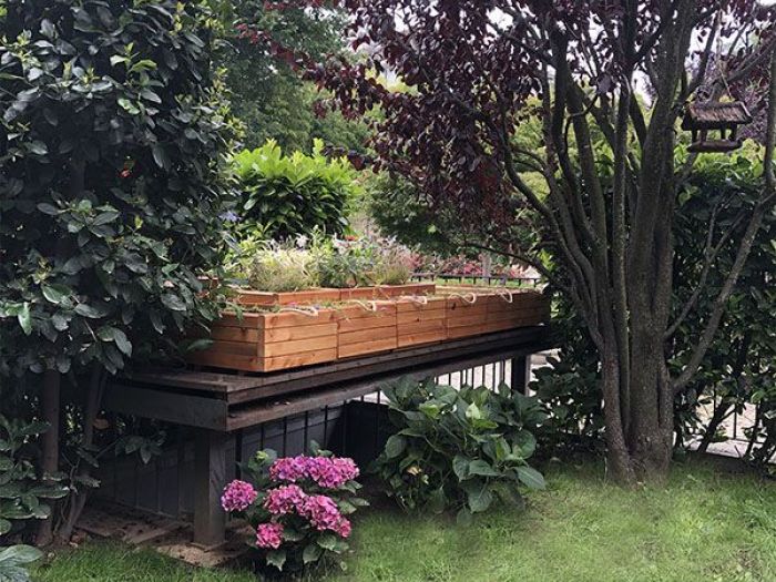 Archisio - Arianna Tomatis Architetto - Progetto Un piccolo tetto giardino