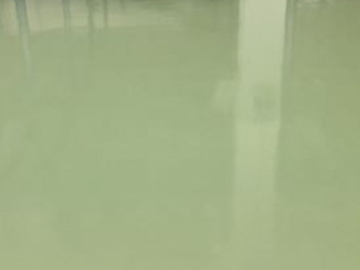 Archisio - Musiani Resina E Arte - Progetto Pavimentazione