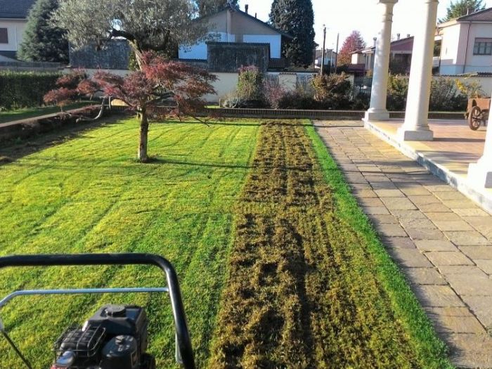 Archisio - Claudio Raiteri Verde Giardino - Progetto Irrigazione rigenerazione pratorigenerazione pratotree climbingisolamento solai