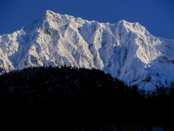 Archisio - Roberto Nangeroni Photographer - Progetto Natura