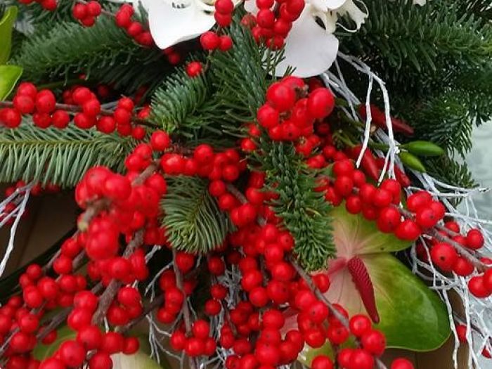 Archisio - Massarroni - Vivai Piante - Garden - Progetto Vivai e piante