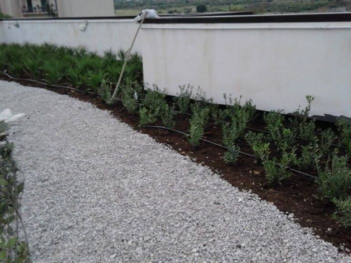 Archisio - Maria Giammarresi - Progetto Giardino pensile - arriva con la legge di bilancio 2018 il bonus verde per giardini terrazzi balconi giardini pensili e coperture anche condominiali - il nostro studio fornisce la consulenza necessaria ai fini dellottenimento del bonus