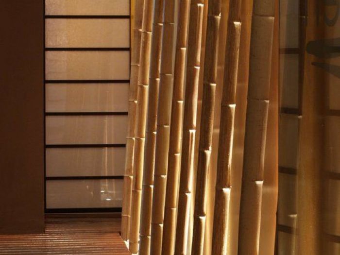 Archisio - Bianca Maria Canepa - Progetto Onsen