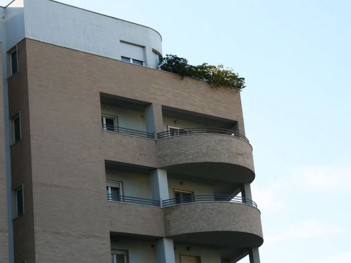 Archisio - Ergon - Progetto Via dante 2