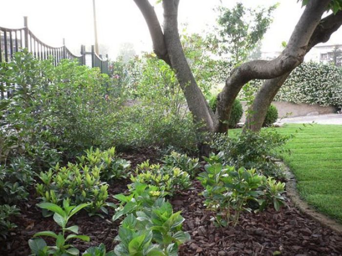 Archisio - Rizzi Giardini - Progetto Giardino in villa storica